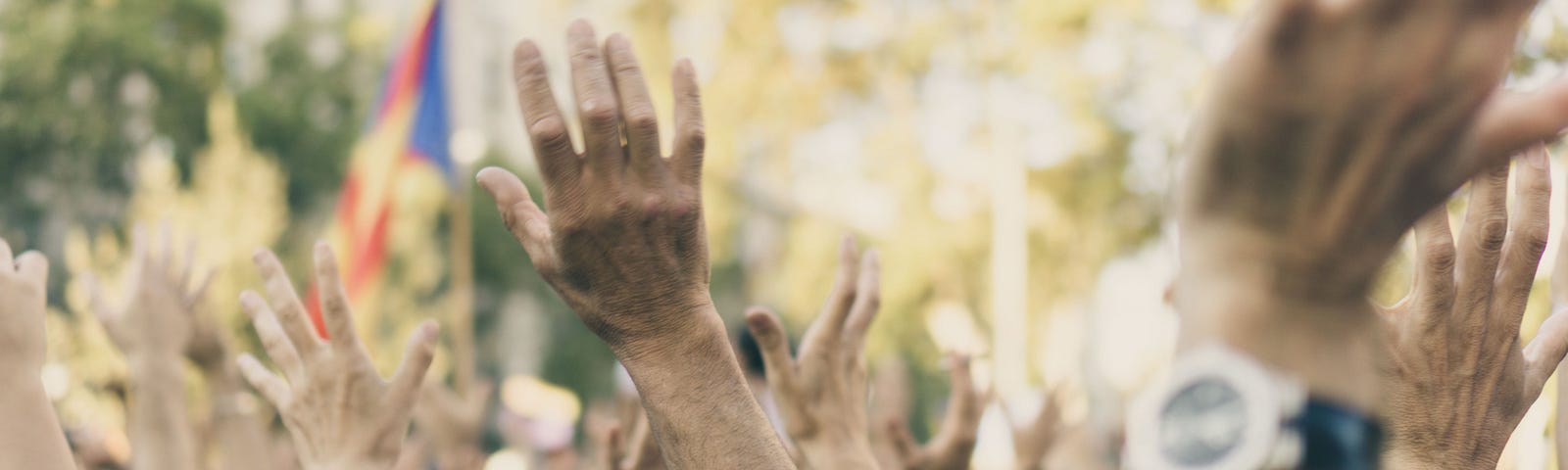 A crowd of people raising their hands in solidarity