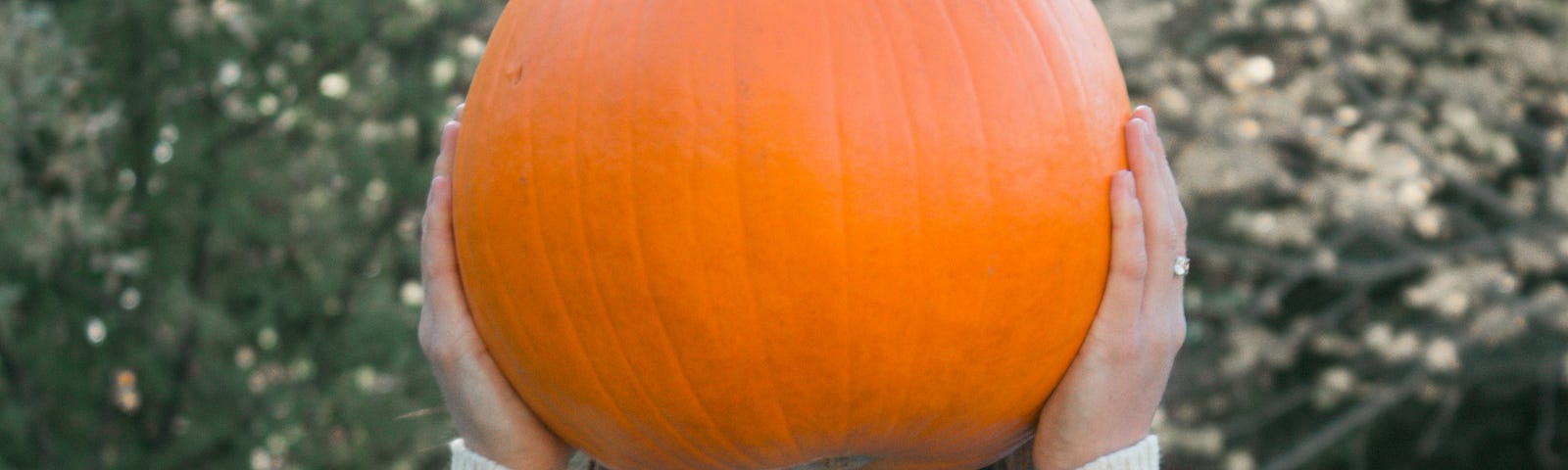 Woman holding pumpkin in front of her face.