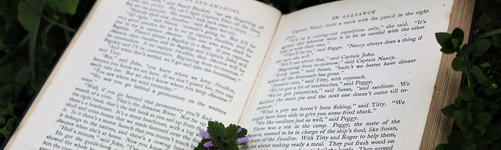 An open book with small leaves and branches laying on top of it.