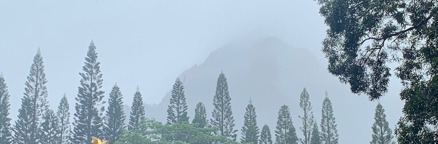 Buddhist temple beneath green hills and trees that overlook it.