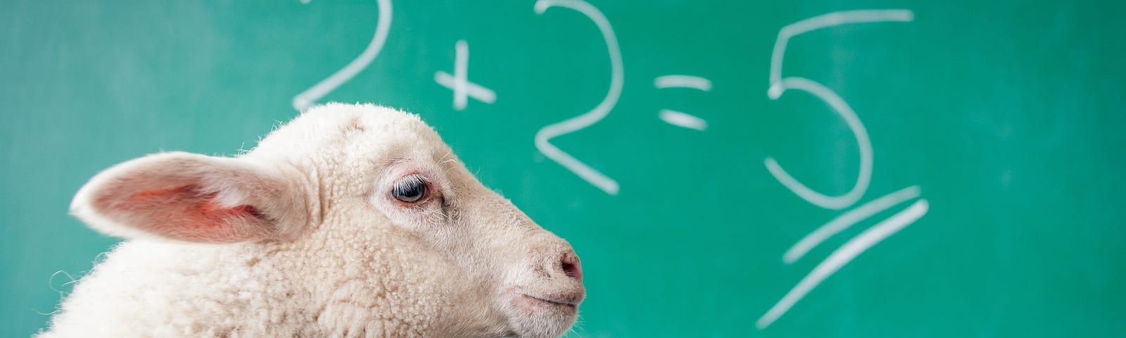 A lamb looking at a chalkboard with the equation 2+2=5 on it