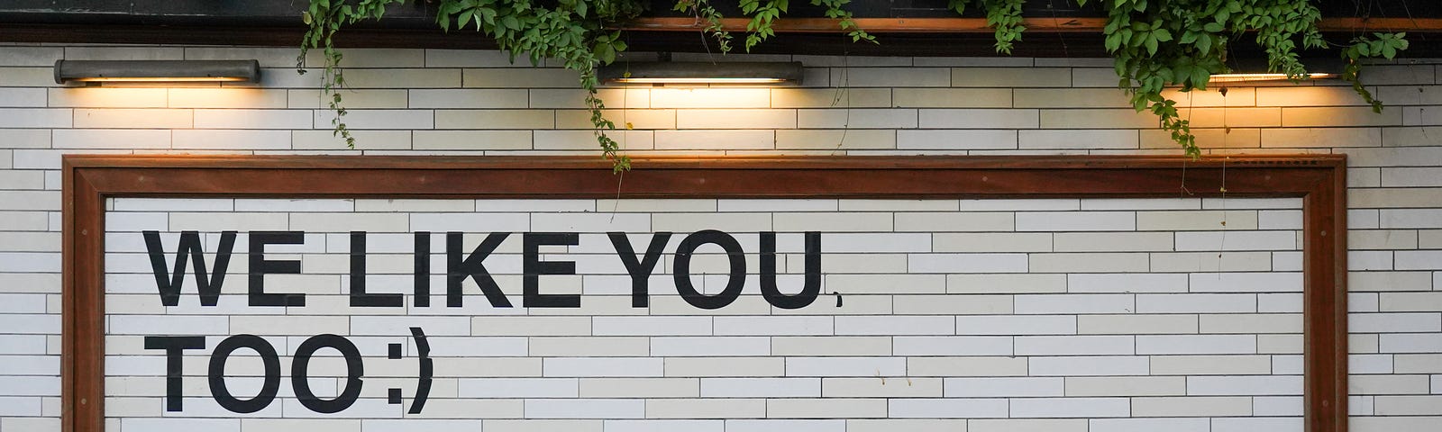 A white bricked wall topped with green leaves and lights. Having a brown rectangular frame which has "We like you too" written on it.