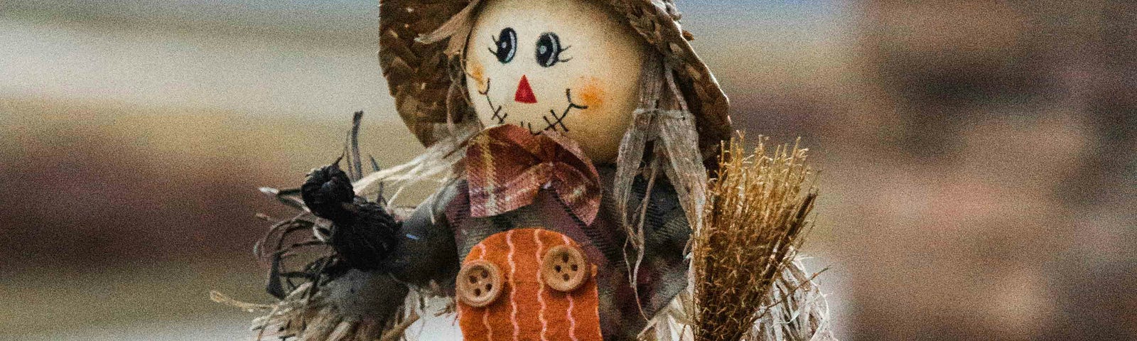 very friendly looking scarecrow