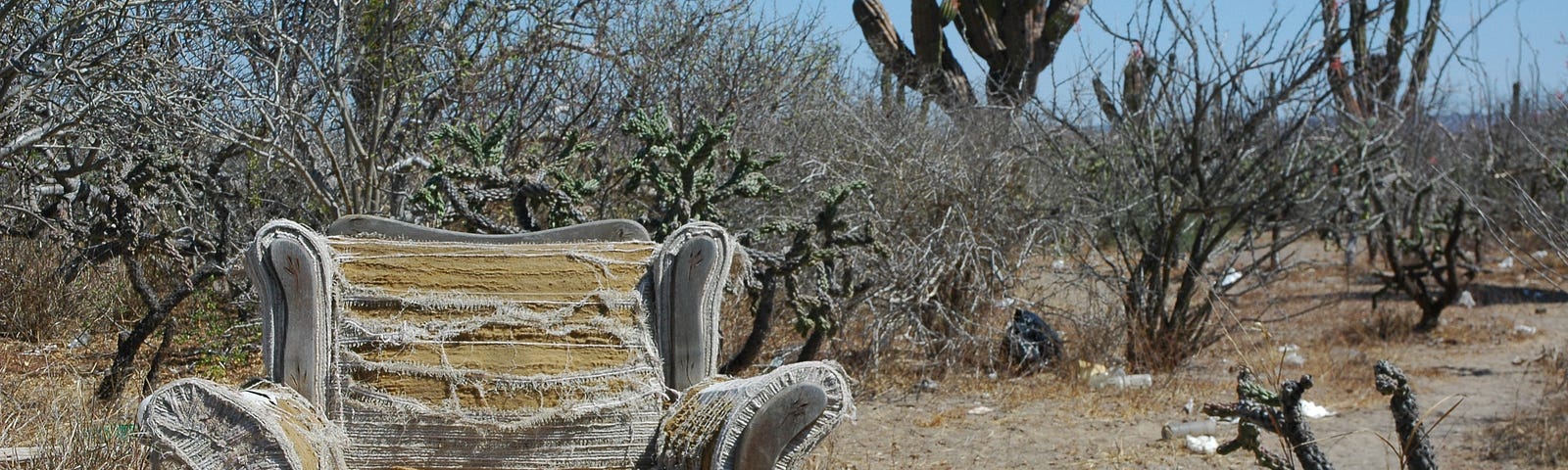 A decaying chair surrounded by cacti, twigs. The environment is desert-like.
