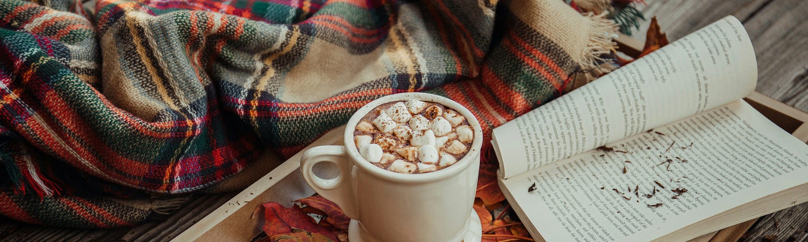 Twenty-Two Days Plus One: Falling Into Season Fall scene of Hot Cocoa with Marshmellows, leaves, book and blanket