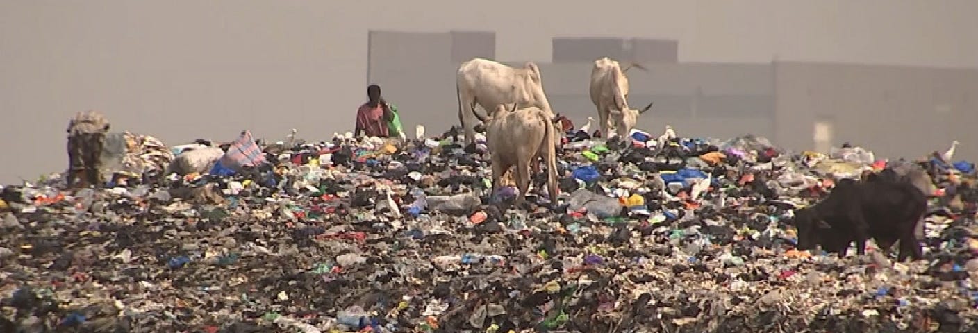 A large landfill portraying adults and animals rummaging through piles of clothing and garbage for usable goods.