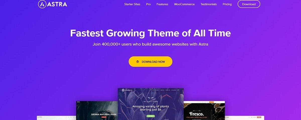 Astra — Best WordPress Themes for Page Builder