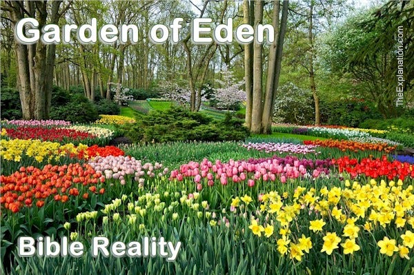 The Garden of Eden. In the bible, this exquisite home is reality. It is described throughout the Bible in many ways.