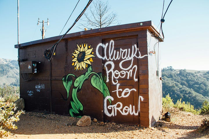 tiny house with sunflower and “always room to grow” written on it to represent things from other writers that make me think