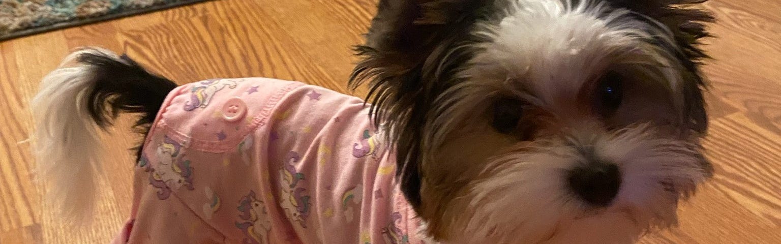 Puppy wearing pink pajamas