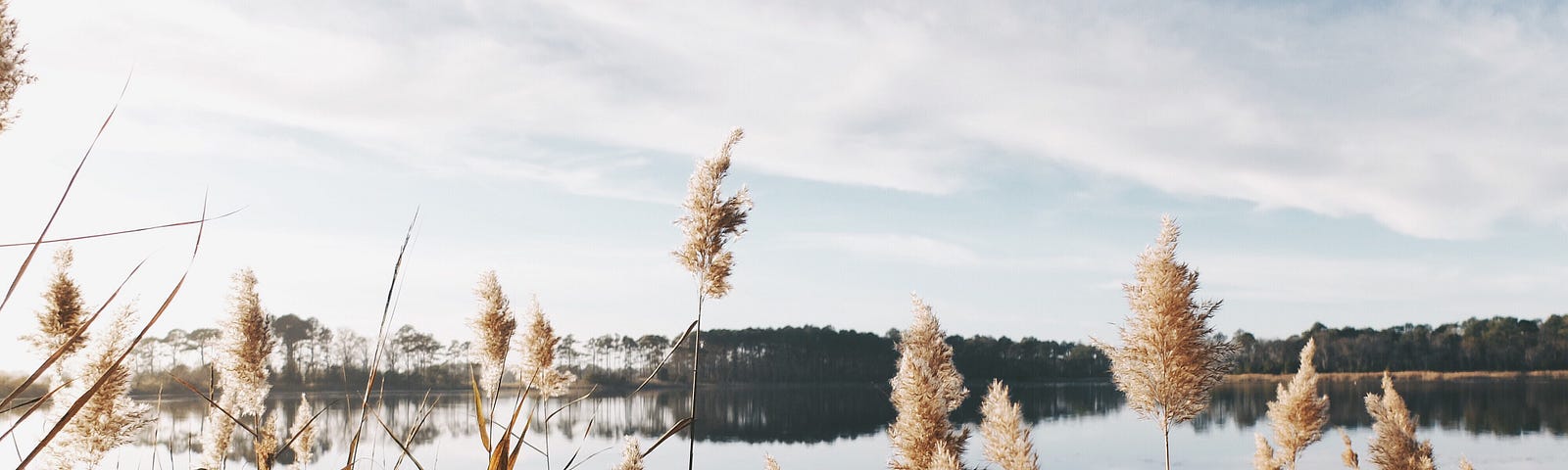 A lakeside