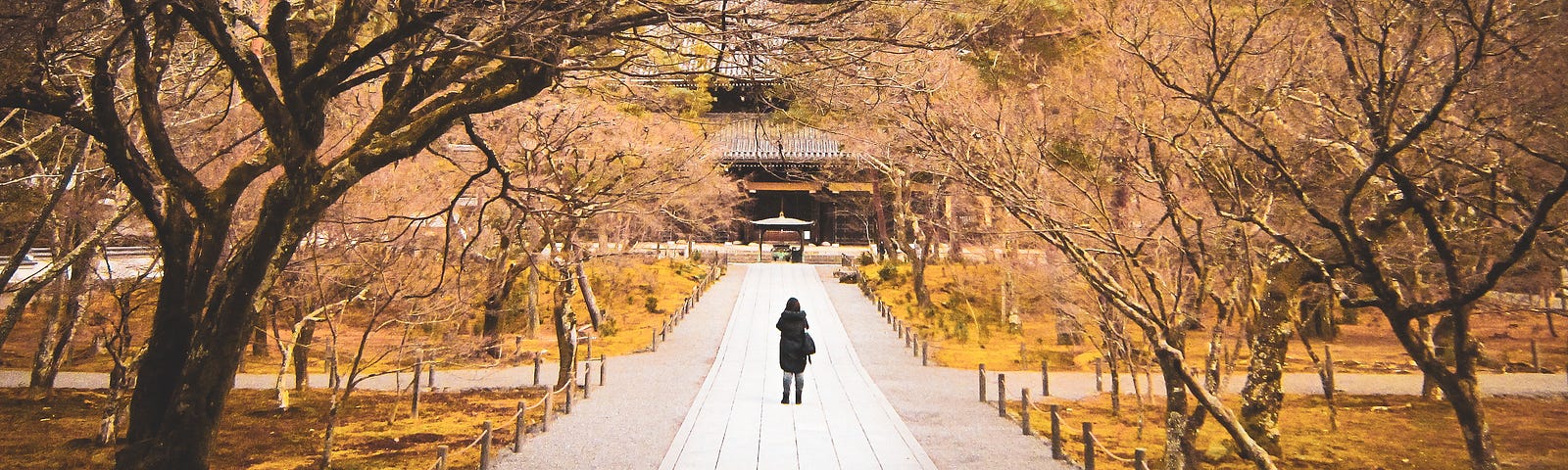 A lone person is seen in the distance on a pathway framed by autumn trees. Yellow leaves populate the grounds. By incorporating a sense of exploration, curiosity, and creativity into your walks, you can turn mundane strolls into memorable experiences. In this essay, we will explore eight ways to make your walking a micro-adventure, allowing you to discover new perspectives, immerse yourself in nature, and find excitement in the everyday.