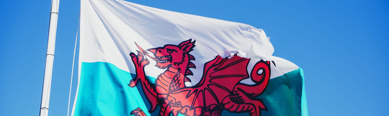 Welsh national flag: red dragon against a white sky and green ground. We win flags.
