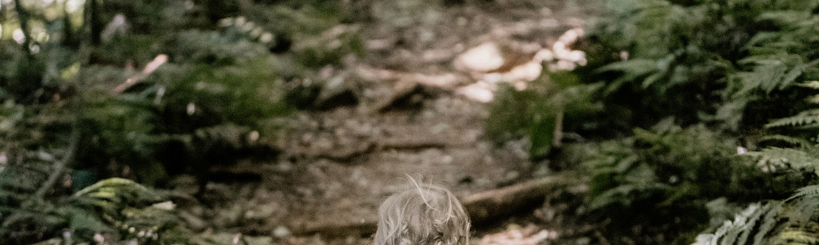 A toddler walks away from the camera along a woodland path.