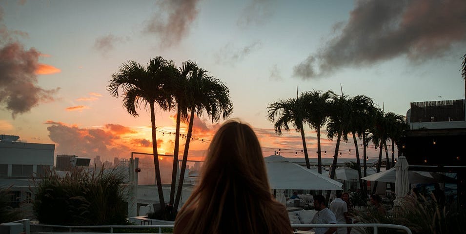 A gorgeous sunset with palm trees in the forefront and a beautiful young woman sitting and enjoying the beautiful sky.