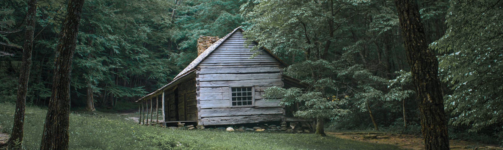An old, wooden cabin in the woods