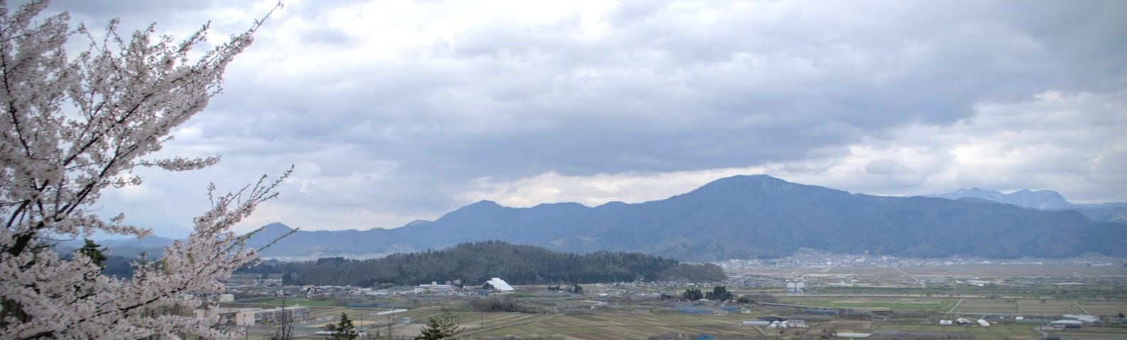 The view from Mt. Kitayama in Murayama City with Mt. Koshikidake and Mt. Okina in the background, and sakura in the foreground.