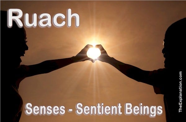 Ruach. At the origin of intangible senses. Senses are the reason living beings are sentient beings.