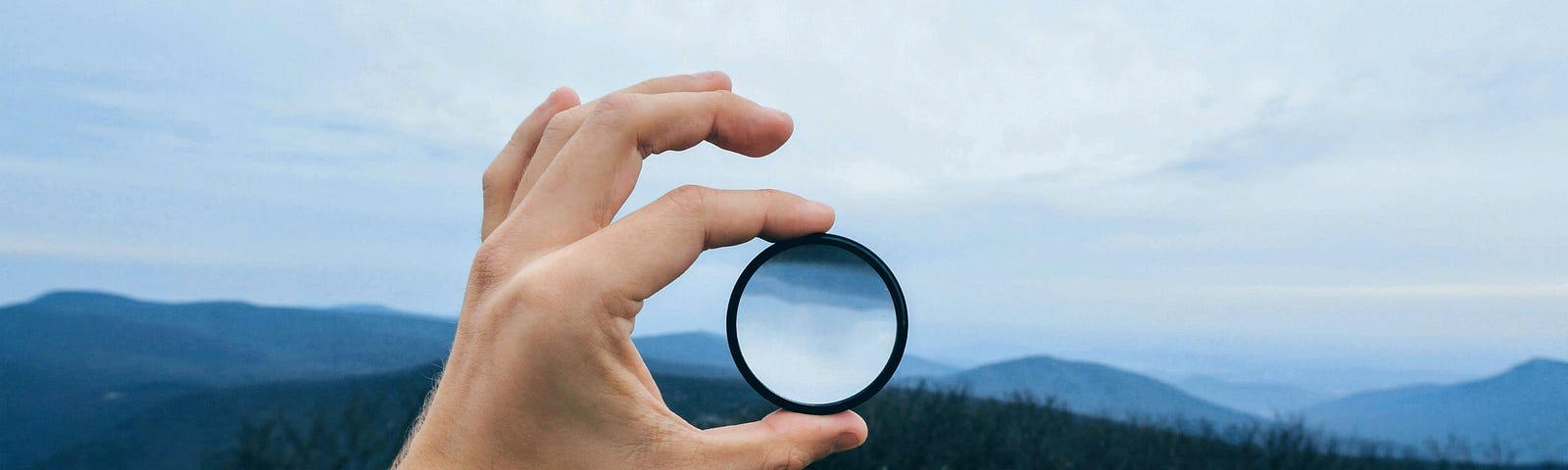 Someone holding a lens, overlooking a forest from a vista point.