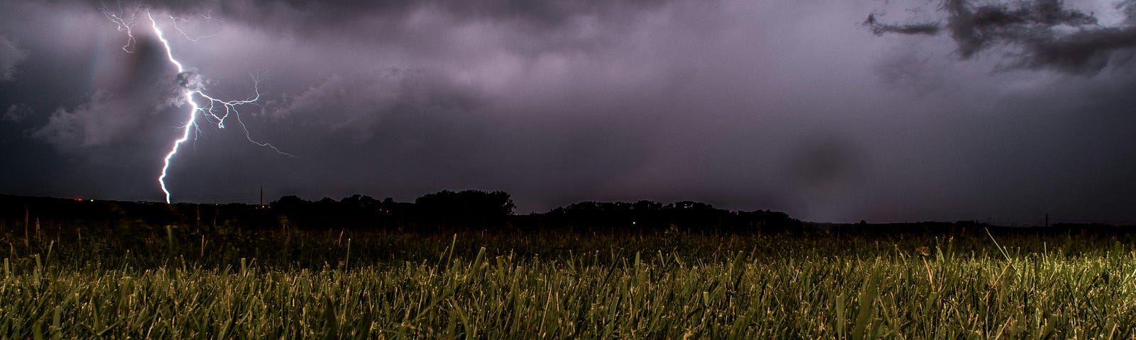 a wet crop field with lightening in the background