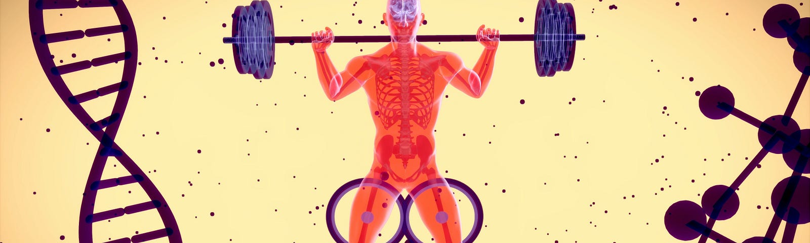 A cartoon of DNA (on the left), a figure lifting a barbell (middle), and a protein moelcular stucture (right). Yellow background. Approximately one in three adults in the United States has high blood pressure (hypertension). High blood pressure is like having a pipe with too much pressure, which can cause leaks and damage over time. A new study suggests that isometric exercise is the best for lowering blood pressure.