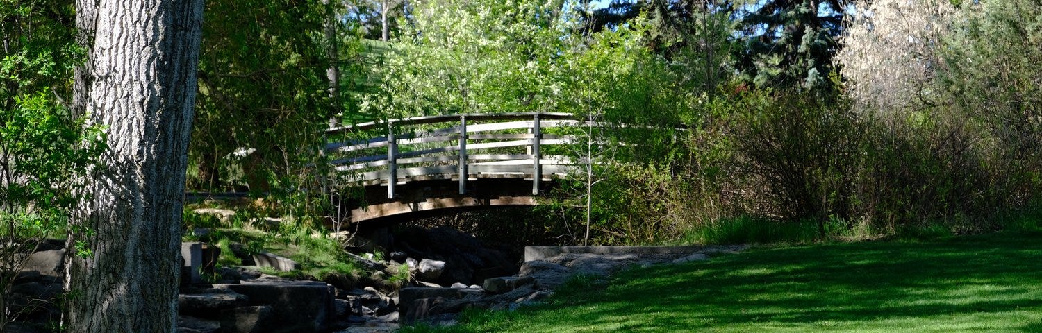 Trees and a wooden bridge across a stream