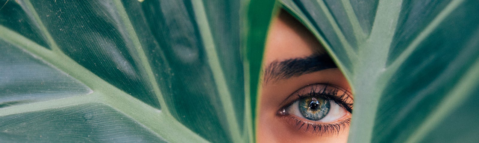 Lady peering through leaves.