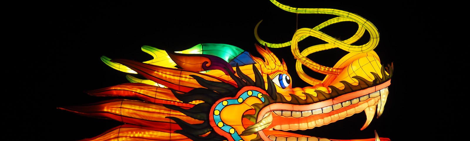 Large puppet dragon from parade lit from within against dark sky.