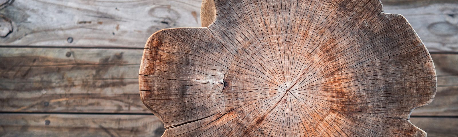 tree stump on wooden deck