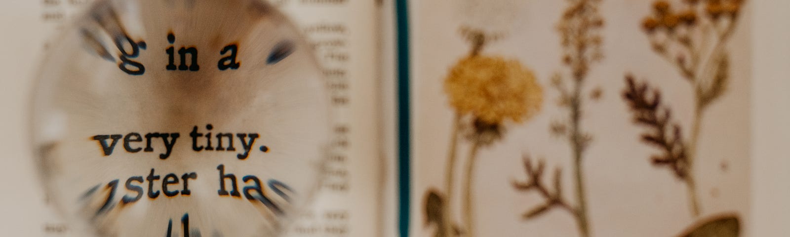 An old-fashioned book about — botany, probably? There are engravings of dandelions — and a magnifying glass allowing us to see the words “very tiny.”