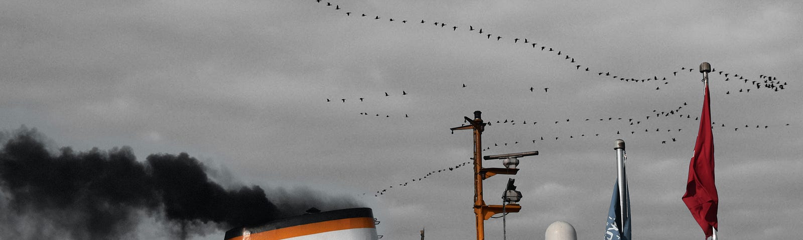 A cruise ship billowing toxic smoke into the air. A flock of birds flies in the background