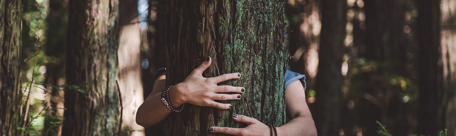 woman hugging tree