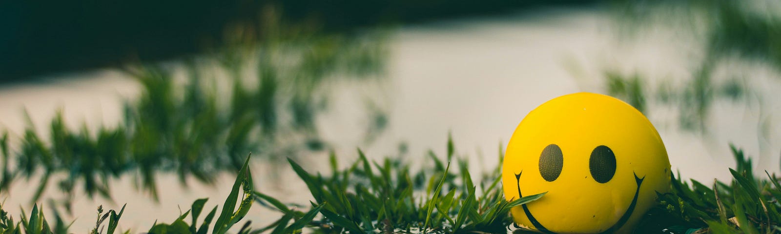 Smiley faced yellow ball surrounded by green plants.