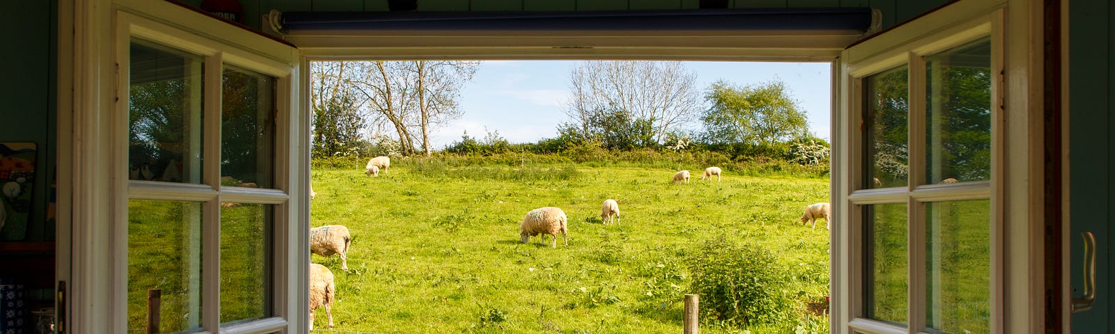 An open window looking out onto a grassy field filled with sheep.