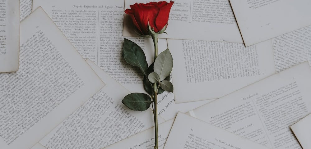 A red rose placed on handful of book pages torn apart.