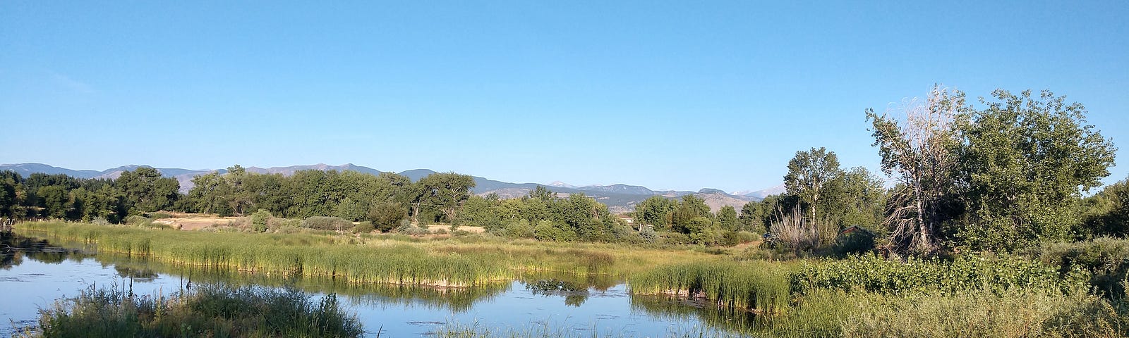 Riparian habitat