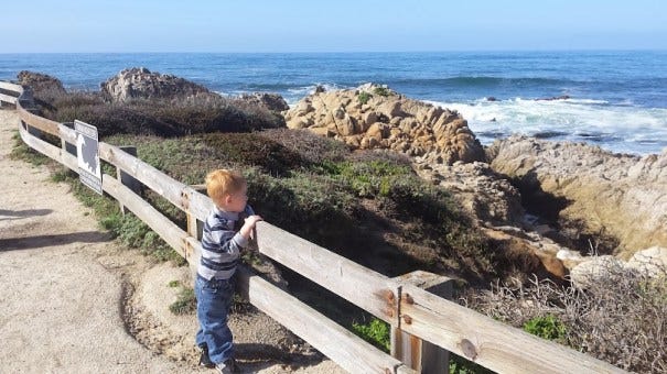 child looking out at sea