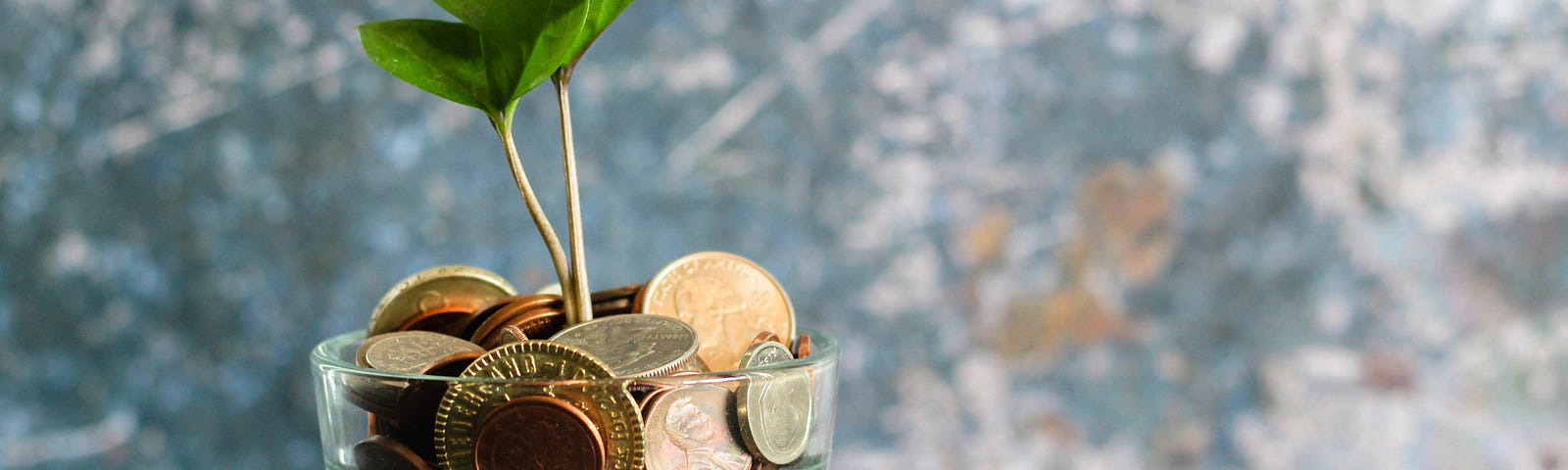 A glass flower pot full of coins and a small plant