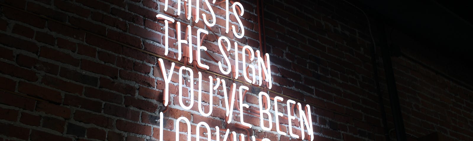 A neon sign is lit up in the dark. It reads in all caps: “THIS IS THE SIGN YOU’VE BEEN LOOKING FOR”.