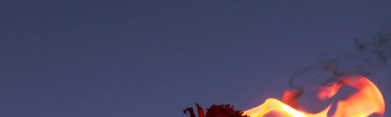holding a burning rose, evening sky