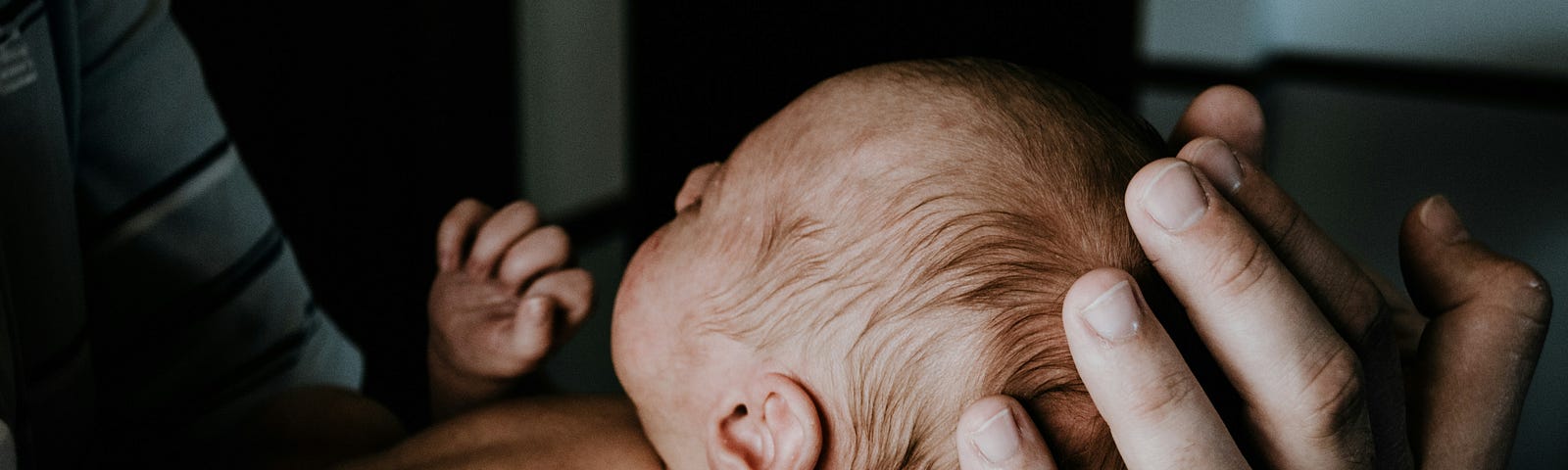 The father’s hands hold a newborn baby.