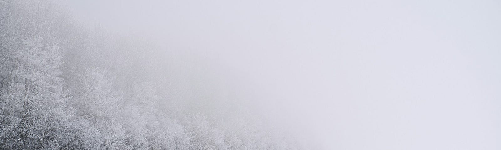 A snowy landscape