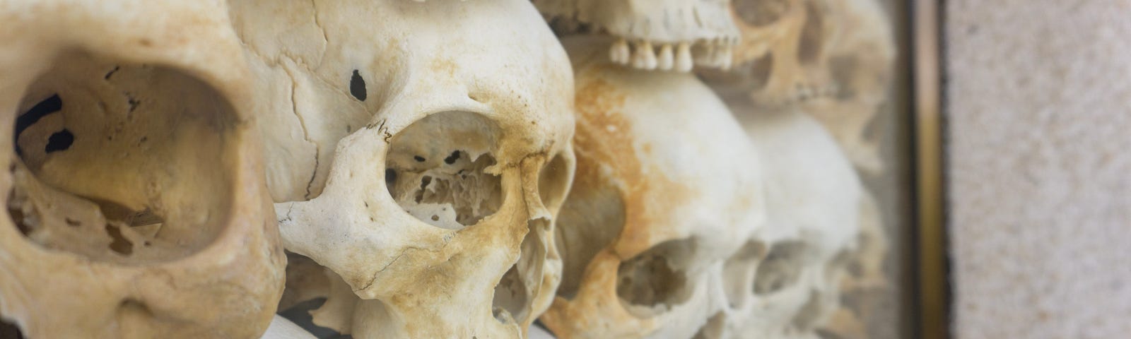 Three rows of skulls.