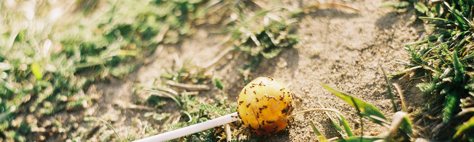 A fallen yellow lollypop