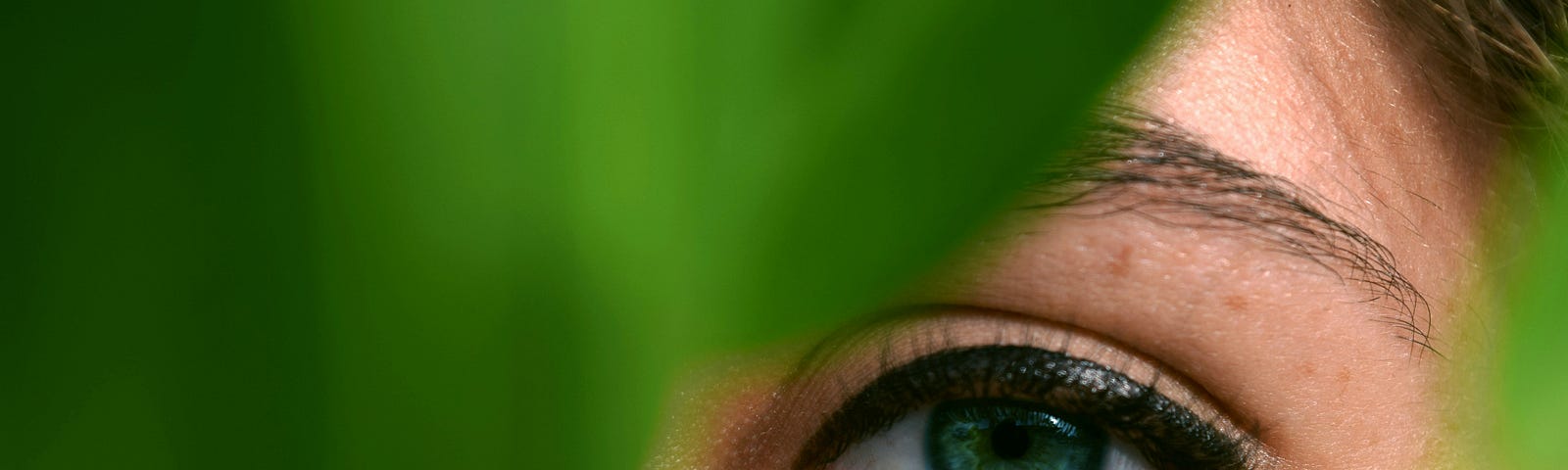 A left blue eye looking directly into the lens, while the right eye remains covered by a green leaf.