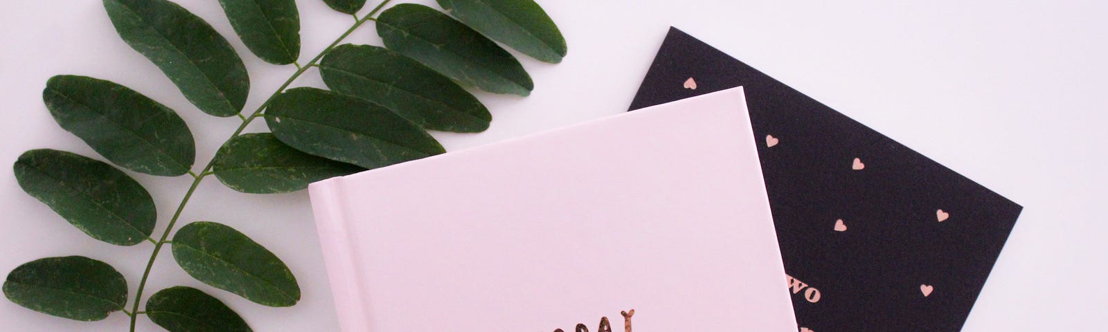 Image of a pink notebook that says, “Today I am grateful.”