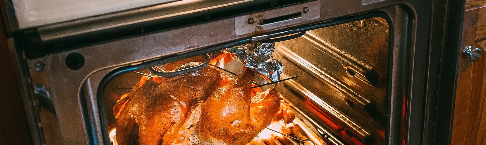 An open oven, with hot elements and a roasting turkey inside