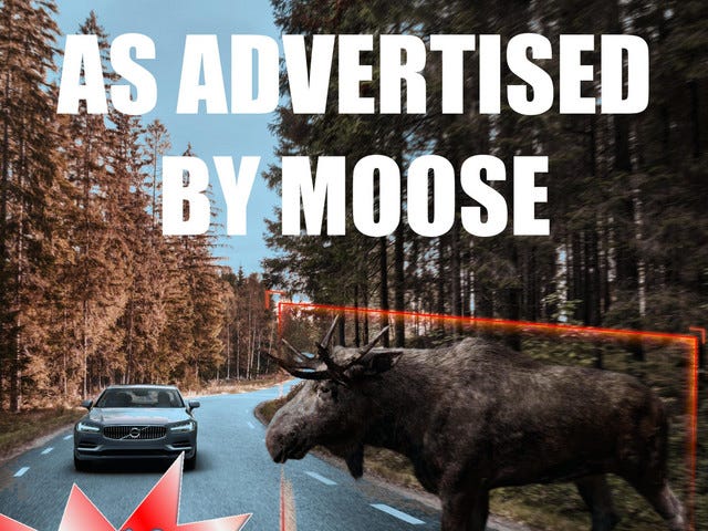 Moose “As Advertised” EP cover art; moose on road with oncoming car in woods, shiny red boom star sticker graphic in bottom left corner with blue text “Including ‘Emergency Contact’ and ‘I Got Your Six’” and “AS ADVERTISED BY MOOSE” in bold white text at center top