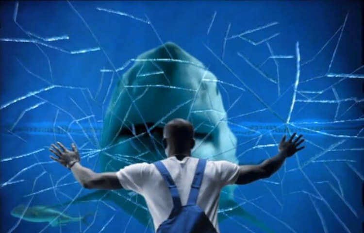 Picture of a man facing a breaking aquarium with an enormous shark inside