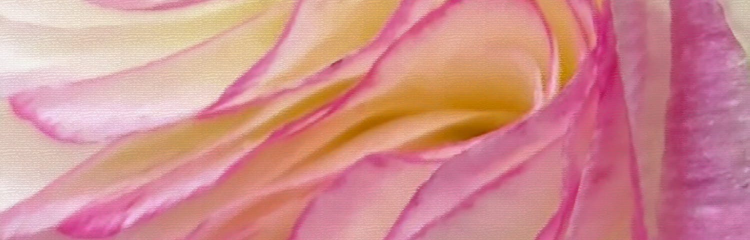 colors of life: pink, ranunculus flower petals, close-up | spring flowers | © pockett dessert